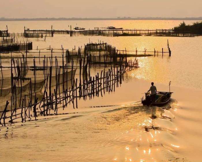 正宗阳澄湖的蟹多少钱一只,正宗澄湖蟹多少钱一只