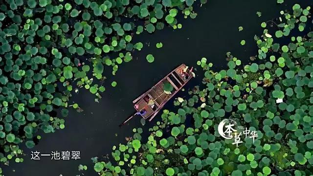 8.9，我们的片终于抢在韩国人前面