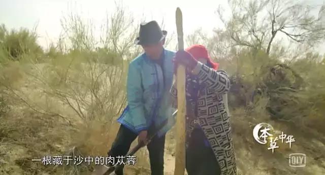 8.9，我们的片终于抢在韩国人前面