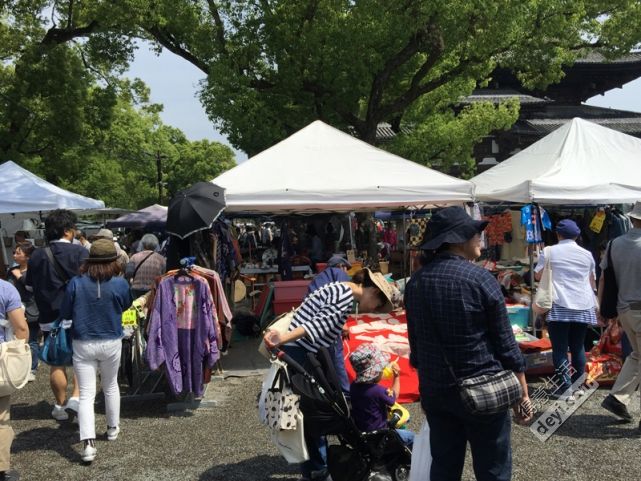 日本小众深度游玩攻略,日本关西打卡攻略