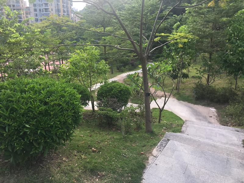 深圳有山有海的公园,深圳藏在地下的公园