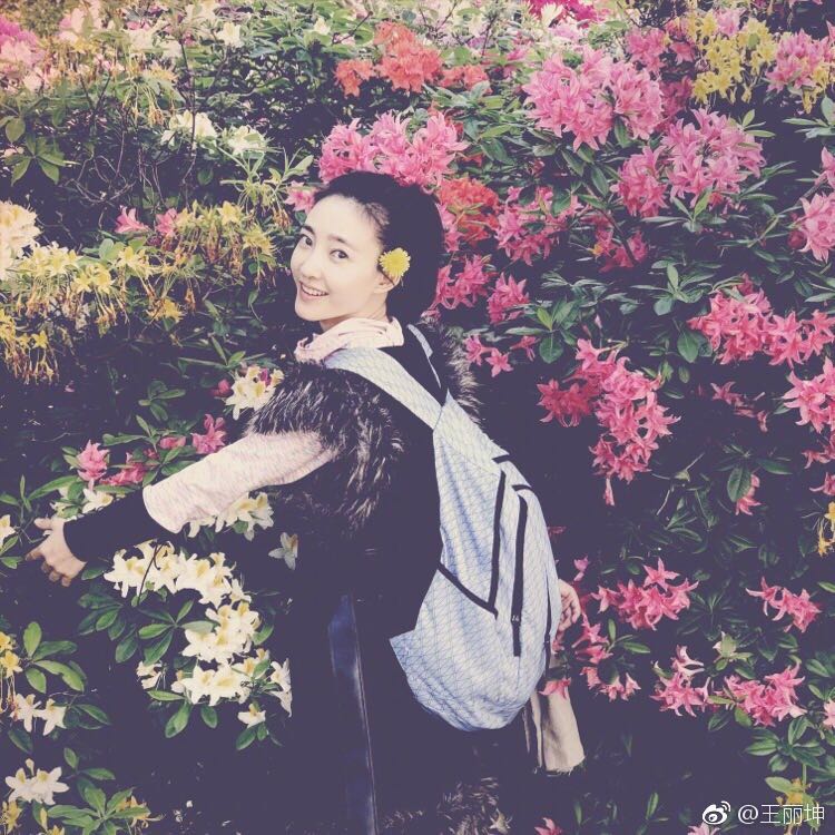 王丽坤深v礼服照,王丽坤抹胸搭银色礼服