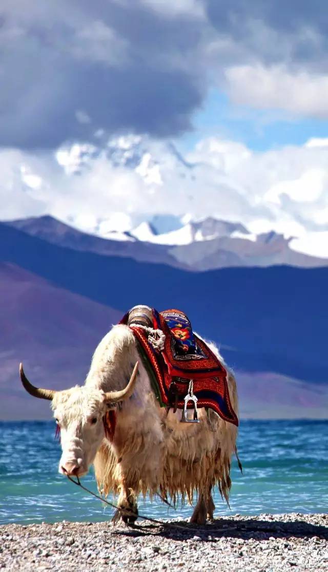 分手后独自旅行该去哪里,分手后一个人去哪旅行