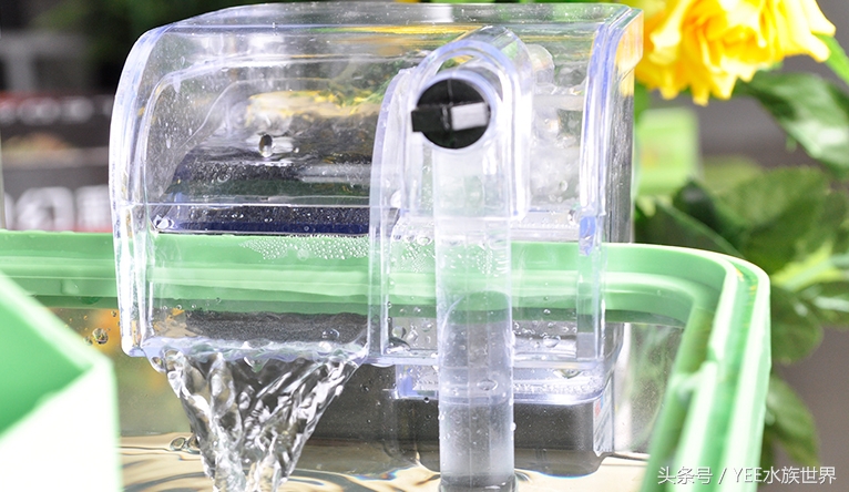 底滤鱼缸如何打造强大的过滤系统,鱼缸底滤和背滤哪个过滤效果更好