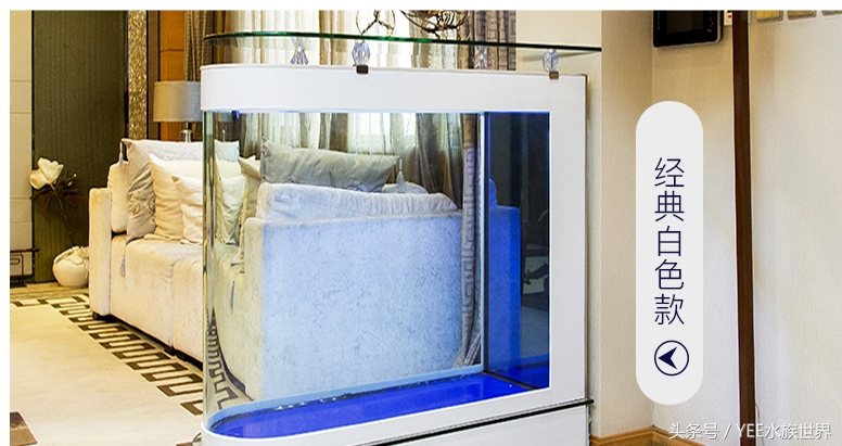 底滤鱼缸如何打造强大的过滤系统,鱼缸底滤和背滤哪个过滤效果更好