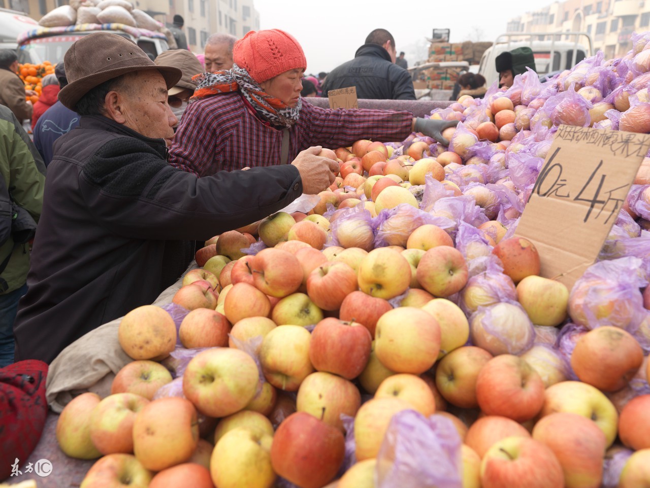 农村小规模养殖什么好卖,农村创业种植好还是养殖好
