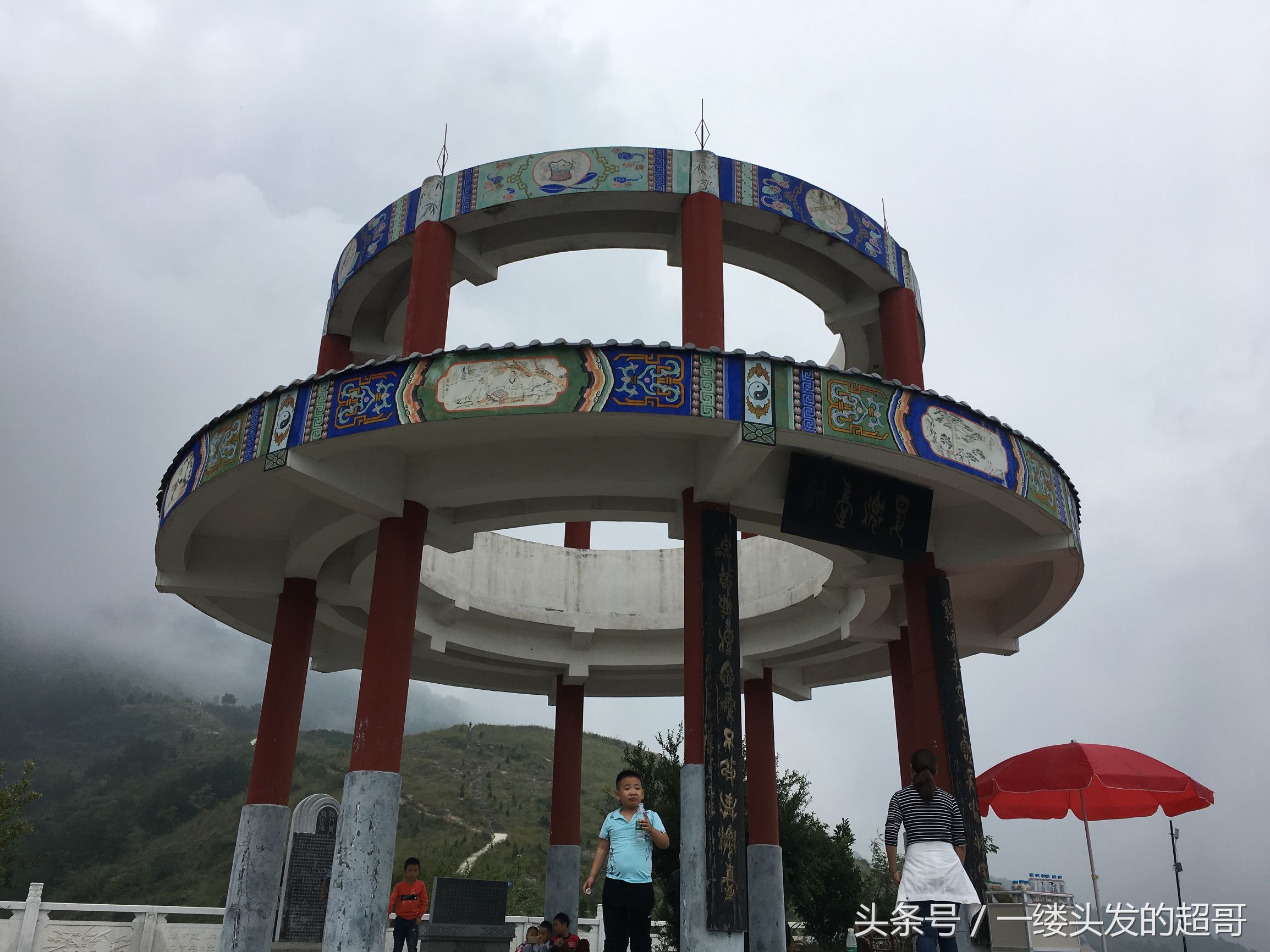 升仙村蜜橘,城固升仙村的橘子