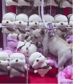 韩国街头毛衣,韩系黑色毛衣