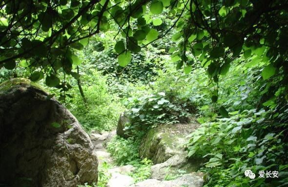 国庆旅游人少好玩儿的地方,旅游不要去的十大城市