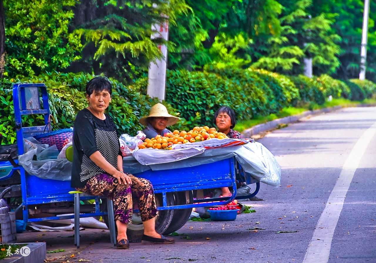 农民有哪些赚钱的方法,10月1号起农民种地有补助吗