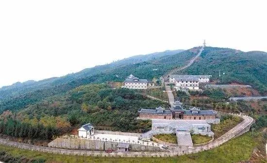 种植天麻业最有前景的产业,一亩大棚天麻种植利润