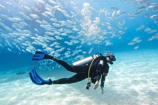 只知道人妖秀?芭提雅还有这些90%的人不知道的小清新玩法