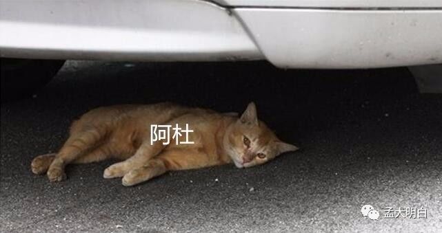 王力宏新歌好惊悚，歌词是他和某些歌手的大规模*伤杀**性*器武**