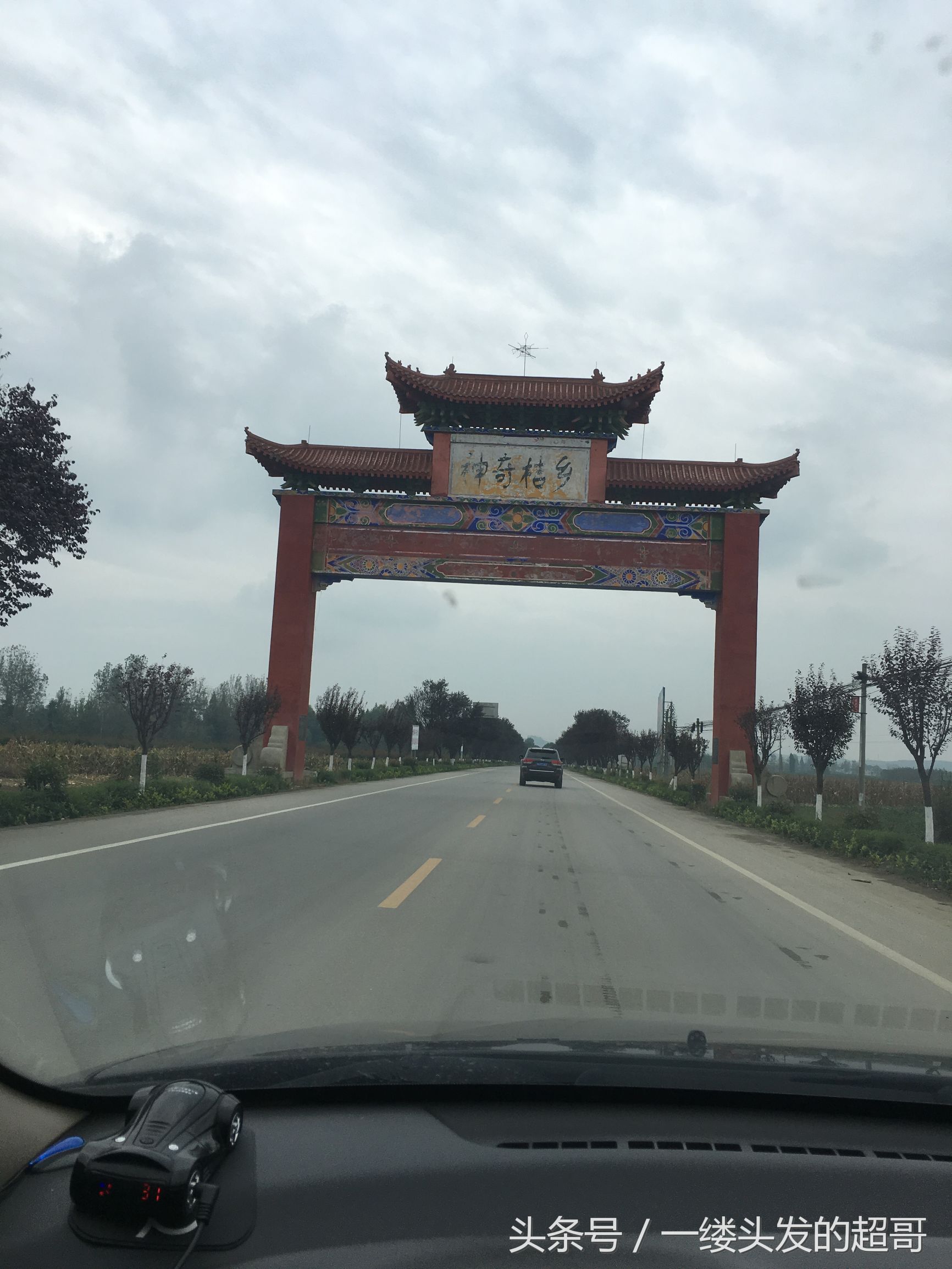 升仙村蜜橘,城固升仙村的橘子