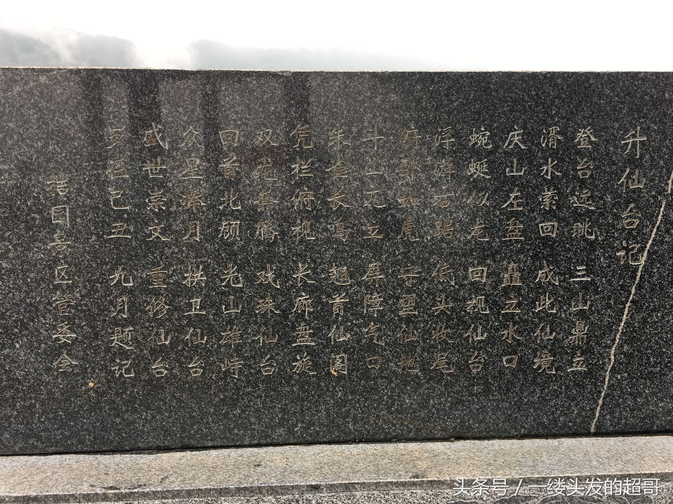 升仙村蜜橘,城固升仙村的橘子