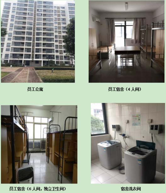 襄阳纳智杰人力资源有限公司,苏州纳智杰人才服务有限公司