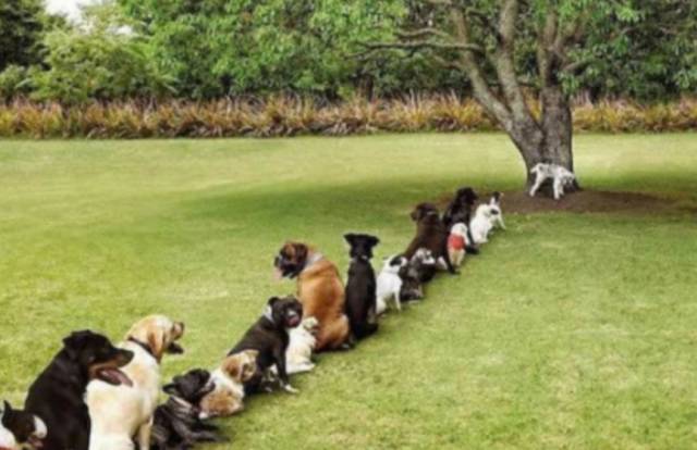 国庆旅游人少好玩儿的地方,旅游不要去的十大城市