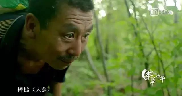 8.9，我们的片终于抢在韩国人前面