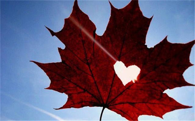 女性排卵期身体的表现症状有哪些,女性排卵期有哪些症状表现