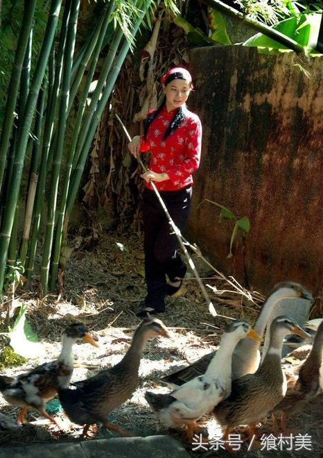 福建客家女子,福建客家的女人