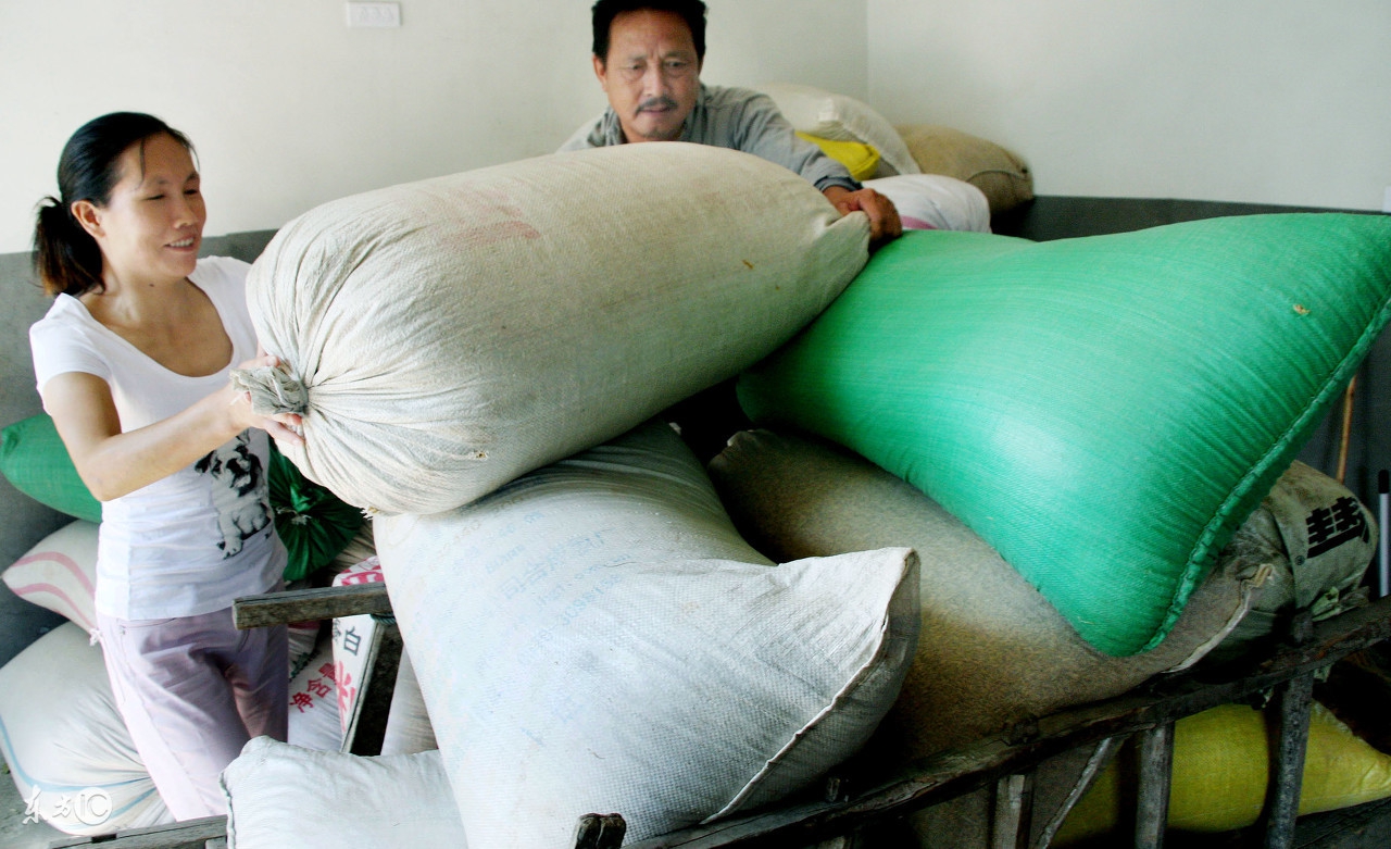 农民有哪些赚钱的方法,10月1号起农民种地有补助吗