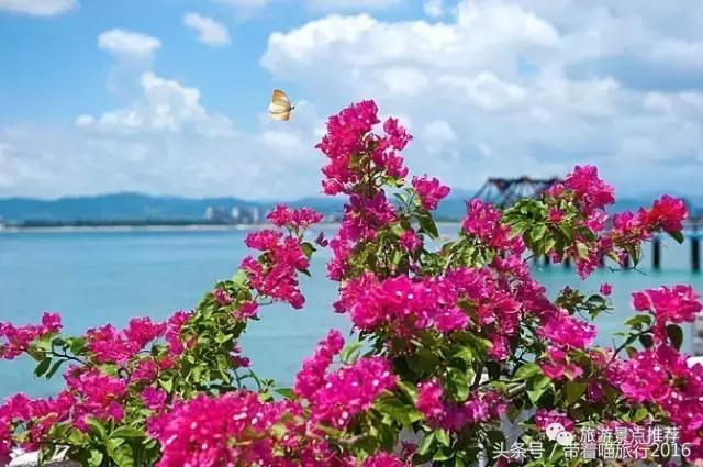 三亚旅行五天四晚旅游攻略,三亚三晚四天旅行攻略大全最新版