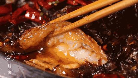 上海中山公园周末玩乐推荐,上海中山公园鱼