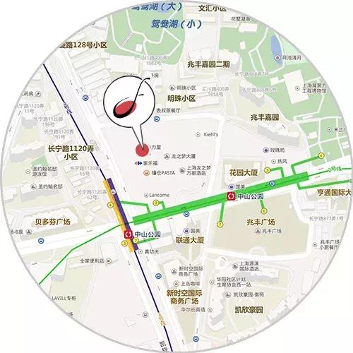 上海中山公园周末玩乐推荐,上海中山公园鱼