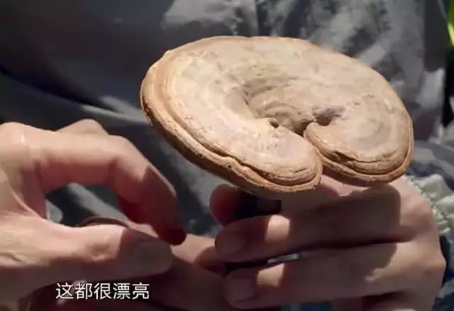 8.9，我们的片终于抢在韩国人前面