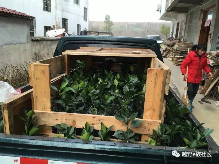 庆铃皮卡怎么样质量好吗,庆铃dmax皮卡3.0