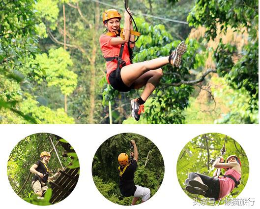 只知道人妖秀?芭提雅还有这些90%的人不知道的小清新玩法