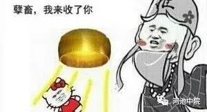 遇到骗婚最好的处理方法,遭遇骗婚如何正确处理