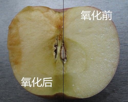 俄罗斯专家注射细菌抗衰老,抗衰老的细菌