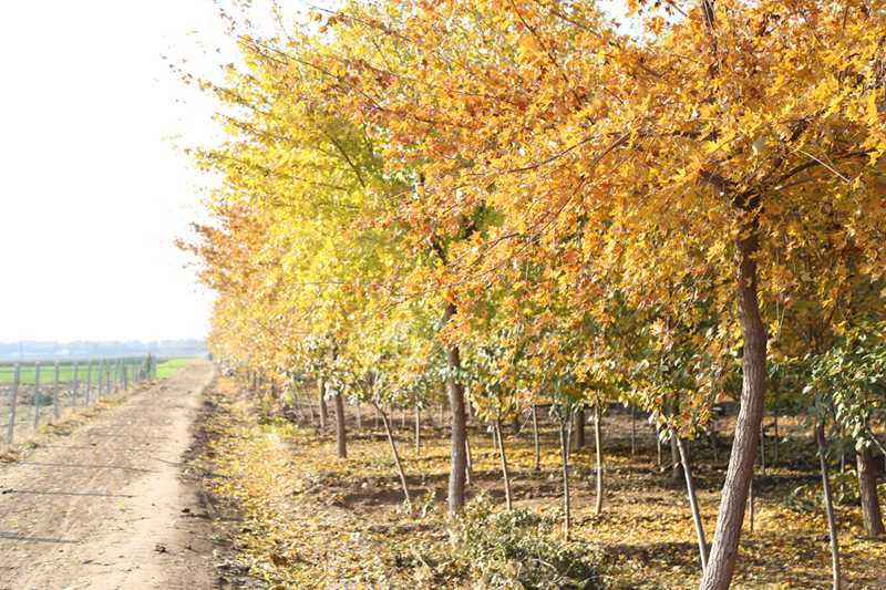 共赏美景愉悦心情,共赏大自然美景