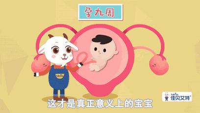 宝宝的胎芽长得很快吗,宝宝的胎心是一周比一周慢吗