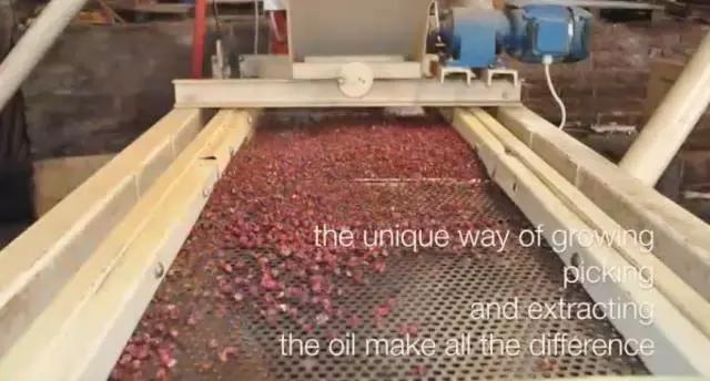 澳洲十大有机护肤品,澳洲有机认证护肤品牌