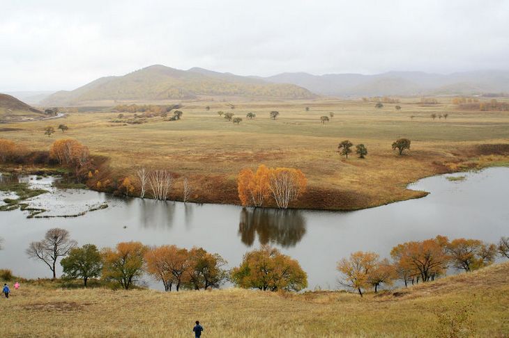 马致远写的天净沙秋思,马致远简介天净沙秋思