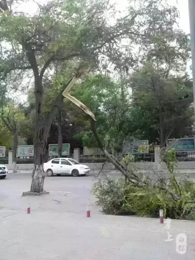 有白银这座城市吗,白银这座城市怎么样