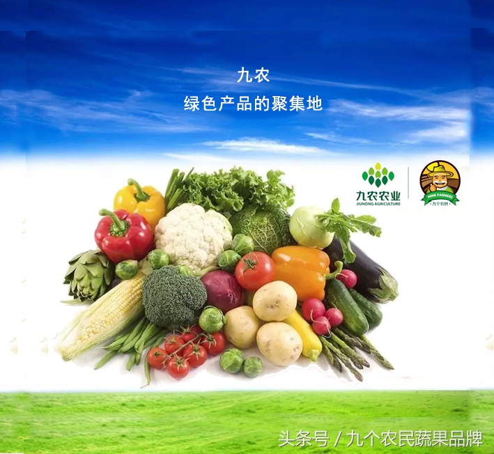 周至眉县争抢“中国猕猴桃之乡”与其争高低不如强强联合