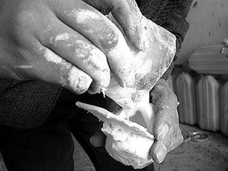 假鸡蛋和真鸡蛋区别大吗,假鸡蛋和真鸡蛋的区别在哪里