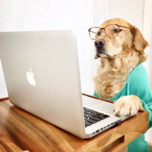 小黄片看多了会不举吗？原来外国也有戒色吧