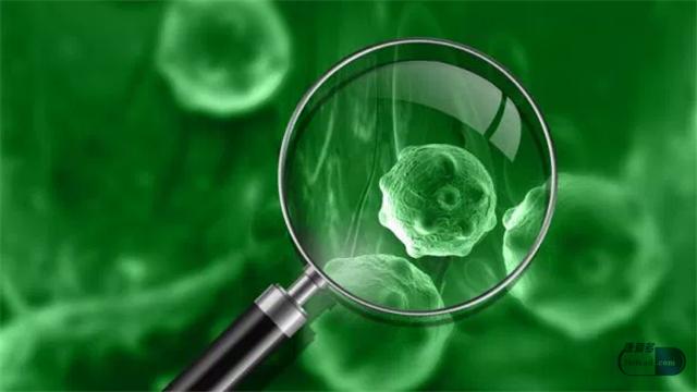 小康每日说:转移因子口服溶液是辅助治疗用药?能用于肿瘤吗?