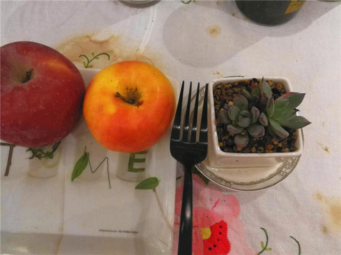 用心去感受生活的美好，MaisonMaxx纯色不锈钢餐具试用