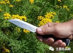 世界上操一把也不会少一把的瑞典国刀在这里-莫拉Garberg测评