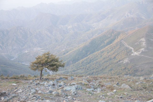 希望以后有时间可以一起去露营,我们还有机会一起去爬山吗