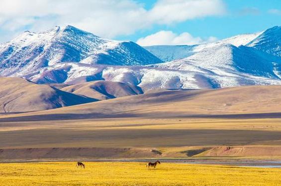 优秀学生必知的地理之最,老师盘点的中国地理之最