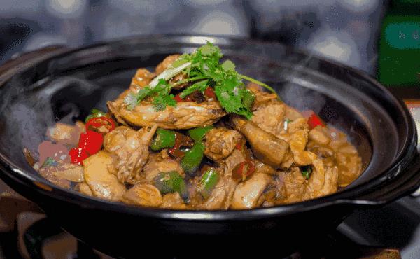 广东旅游吃货攻略烧鹅,广州美食推荐白云区不辣粤菜