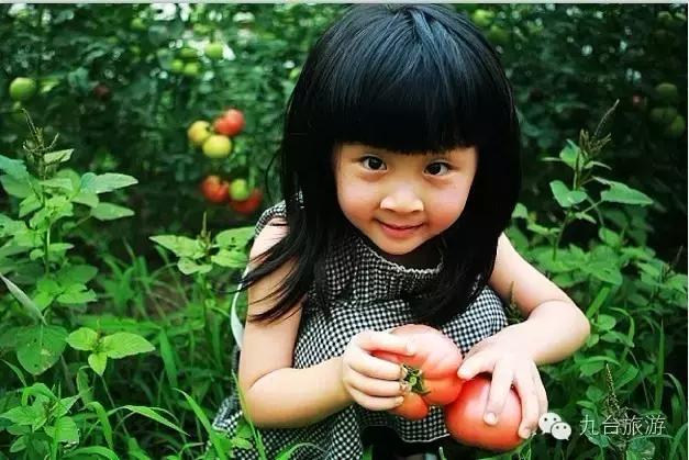 九台周边三日游去哪儿好,黄金周出游怎么玩