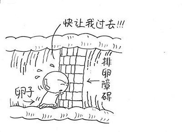 高龄女性如何做好卵巢保养,母亲最伟大能为孩子遮风挡雨