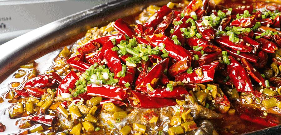 上海中山公园周末玩乐推荐,上海中山公园鱼